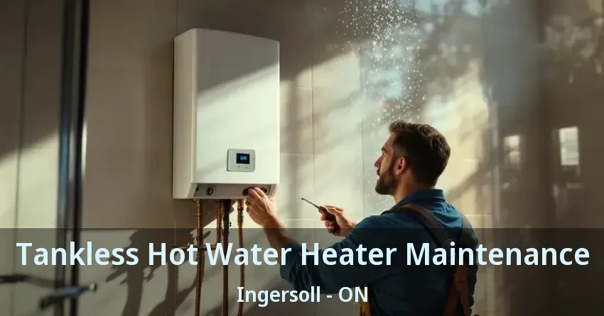 Tankless Hot Water Heater Maintenance Ingersoll - ON Tankless Hot Water Heater Maintenance Ingersoll - ON