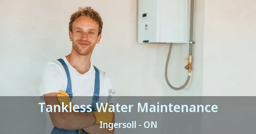 Tankless Water Maintenance Ingersoll - ON Tankless Water Maintenance Ingersoll - ON